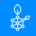 RSK Testnet